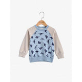 Casual Pullover Cartoon Print Boy's Sweatshirt - Azure 130