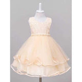 Cute Round Neck Sleeveless Girl's Ball Gown Dress - Champagne 130