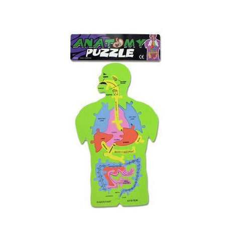 Foam Anatomy Puzzle ( Case of 24 )