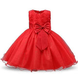 Girl Dresses Party Pageant Dress