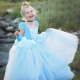 Blue Kids Girls Princess Costume Dress