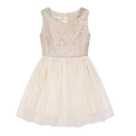 Lace Girls Sleeveless Princess Dress