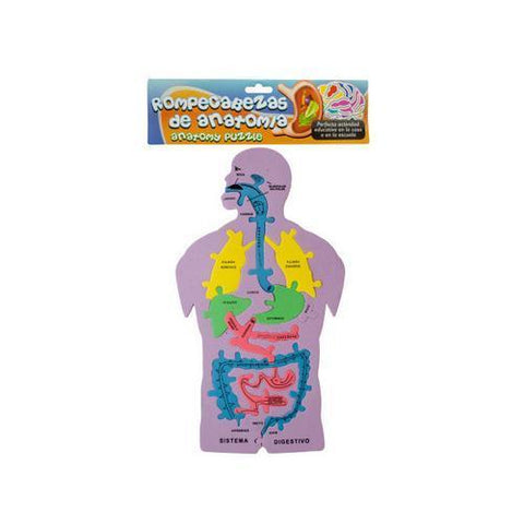 Spanish Anatomy Foam Puzzle ( Case of 48 )