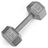 20lb Cast Iron Hex Dumbbell