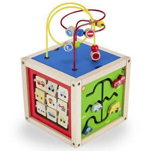 5-in-1 Deluxe Activity Hub