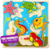 Lift & Look Magnetic Fishing